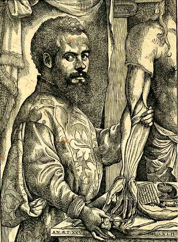 Andreas Vesalius, auteur de l'ouvrage phare De Humani Corporis Fabrica Libri Septem, pratique des recherches sur un cadavre humain. © Wikimedia Commons