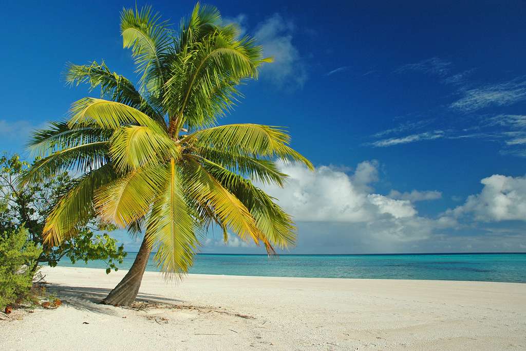 Photo Sur Une Plage à Makemo