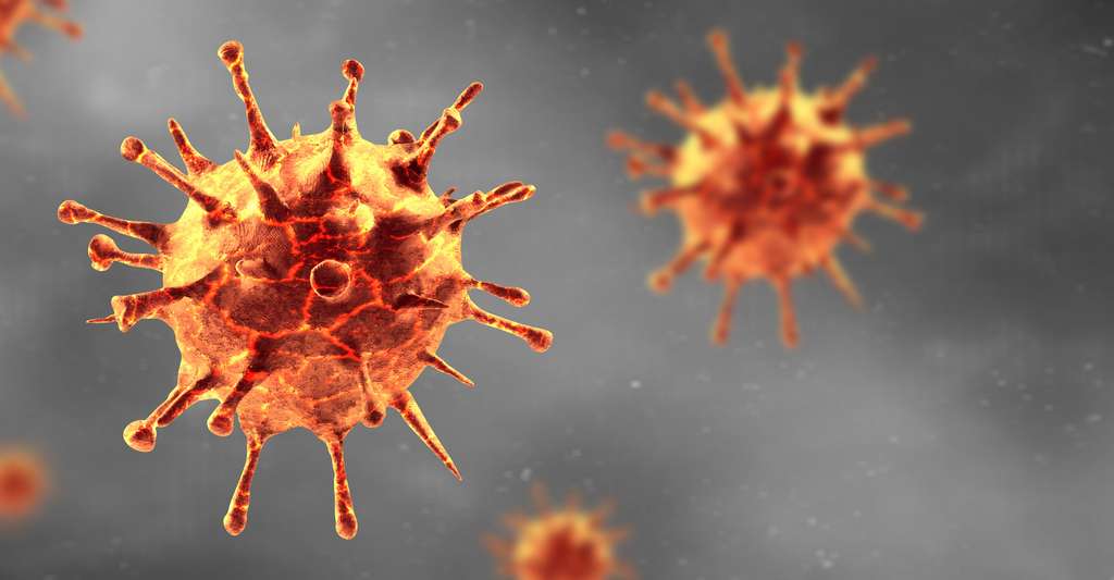 Le coronavirus RmYN02 découvert par des chercheurs de la Shandong First Medical University chez les chauves-souris est très proche du SARS-CoV-2. Mais il ne lui ressemble pas dans la région du génome codant pour le récepteur qui lui permet d’infecter les Hommes. Il n’est donc pas susceptible d’infecter des cellules humaines. © Thaut Images, Adobe Stock