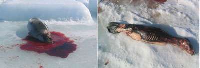 Sans commentaire ! Sans commentaire !