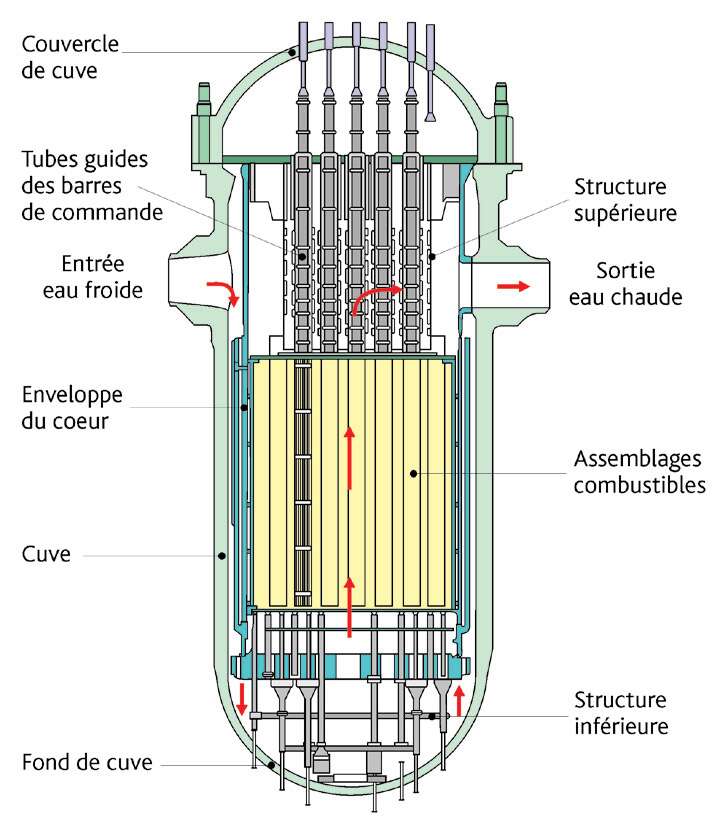 C'est dans la cuve que se déroulent toutes les réactions nucléaires : ainsi, elle est conçue pour tenir face à des irradiations, en étant notamment particulièrement homogène. © IRSN