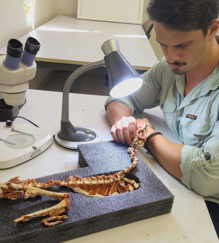 Le paléontologue Rodrigo Müller manipulant le squelette fossilisé de Buriolestes schultzi. © Universidade federal de Santa Maria