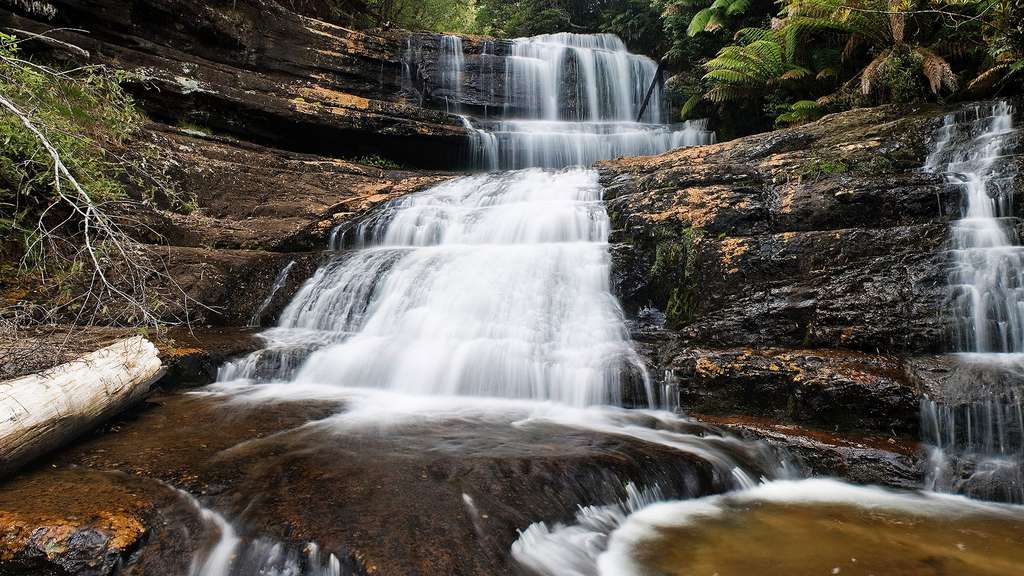 Les chutes Lady Barron en Tasmanie Les chutes Lady Barron en Tasmanie