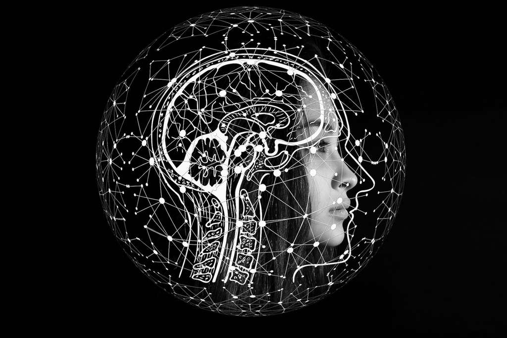 L’usage fréquent d’appareils électroniques semble réduire l’activité de certaines régions de notre cerveau : le cortex insulaire gauche et le gyrus frontal inférieur. Deux zones parmi les plus importantes pour le traitement de l’information, car elles permettent, entre autres, de prêter attention et de comprendre le langage. © geralt, Pixabay License