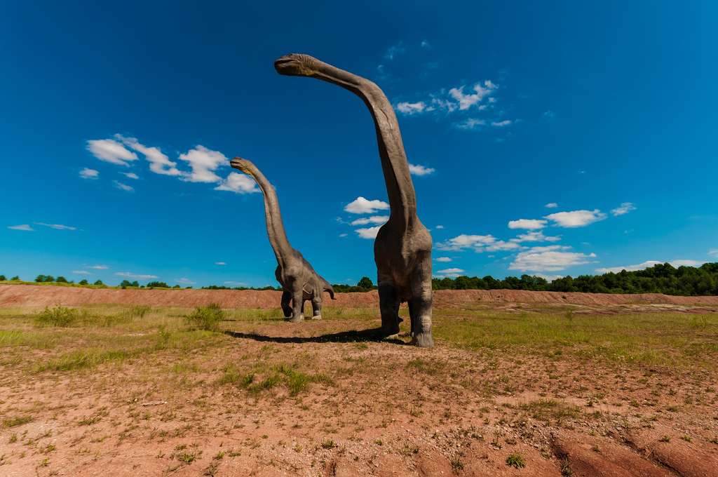 Clonage de dinosaures pour 2025 ? Fc1c802ea1_126469_dinosaure-dariuszsankowski-pixabay