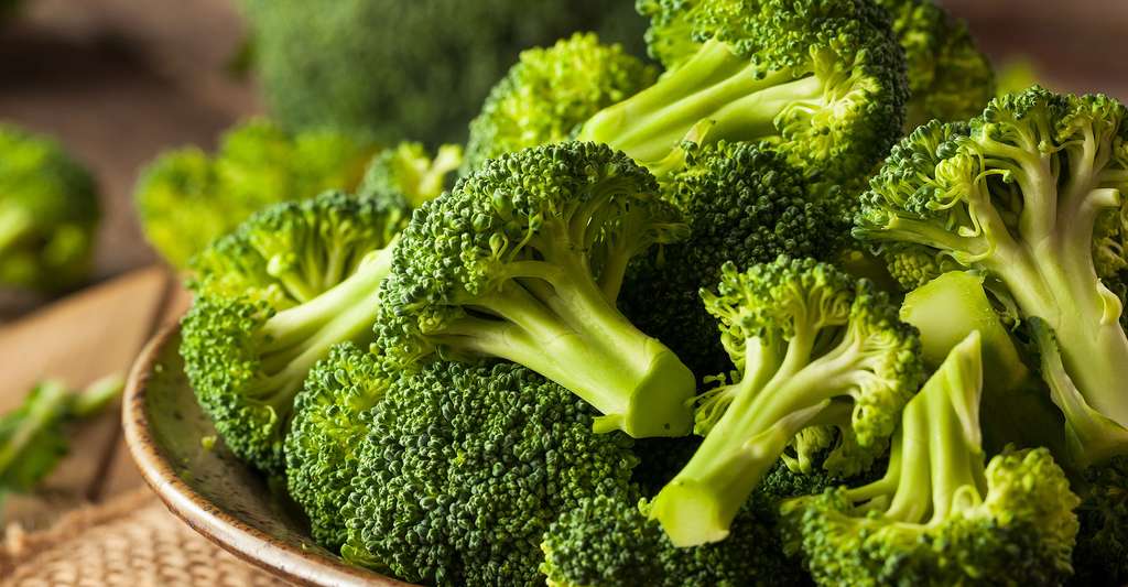 Le brocoli, une espèce de chou italienne | Dossier