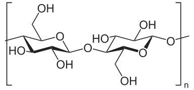 La cellulose, de formule brute (C6H10O5)n, est la matière organique la plus abondante sur Terre. Elle est constituée de chaînes linéaires de molécules de D-glucose liées entre elles. © Neurotiker