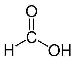 Le plus simple des acides carboxyliques est l’acide méthanoïque H-COOH. © Bryan Derksen, Wikimedia Commons