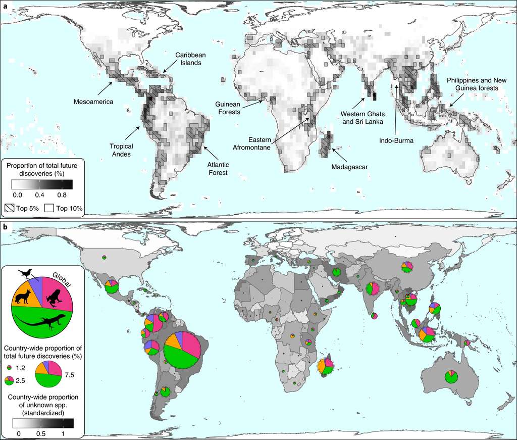 Carte des endroits les plus susceptibles d’accueillir des animaux inconnus (a). Potentiel de découverte de chaque pays selon le type d’espèces (b). © Mario Moura et Walter Jetz, Nat Ecol Evol (2021)