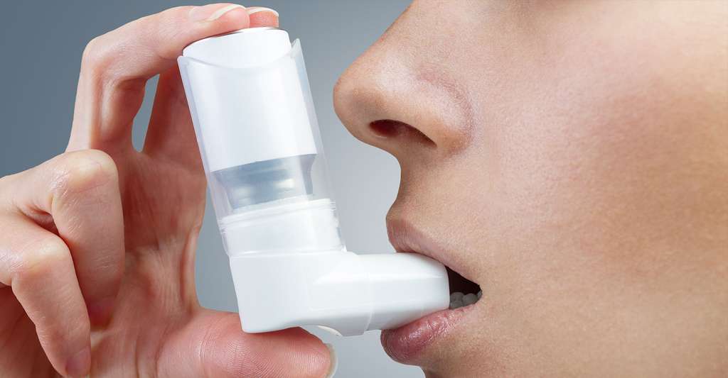Un bronchodilatateur peut aider à la respiration. © Poprotskiy Alexey, Shutterstock