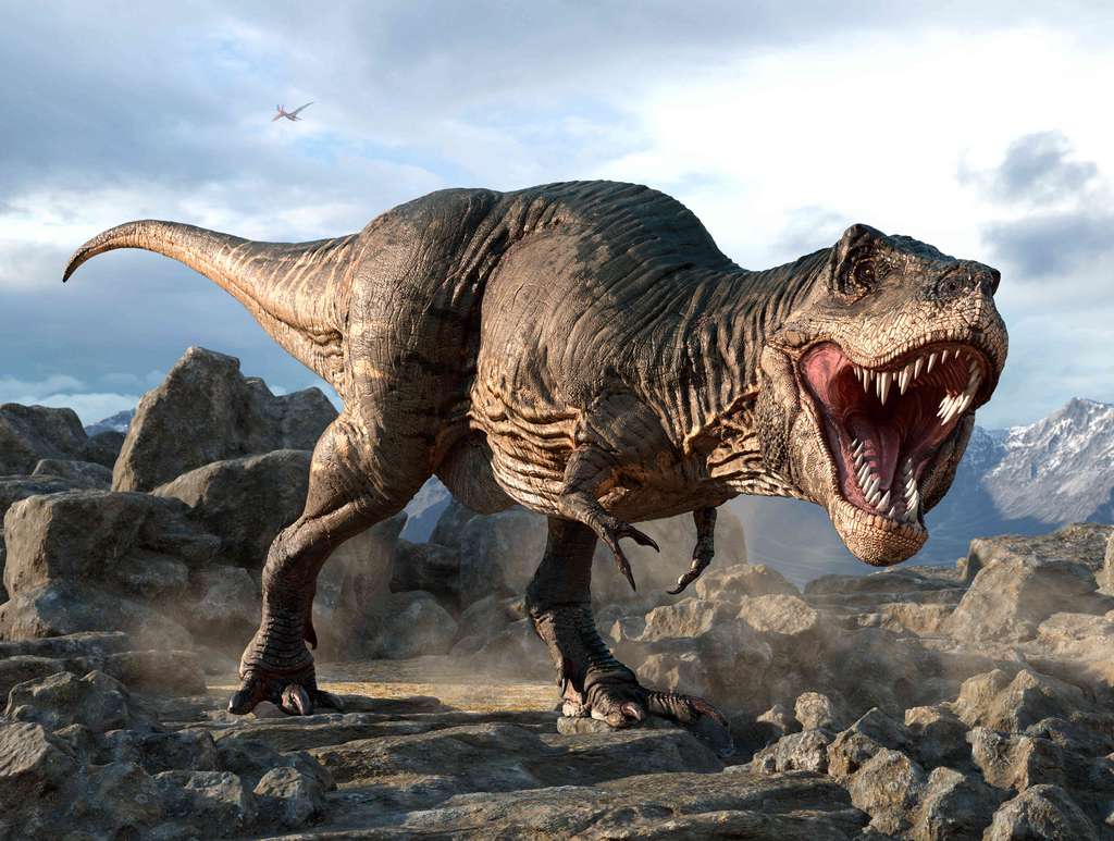 Les tyrannosaures avaient, comme les Meraxes gigas, de tout petits bras, malgré l'appartenance à un groupe différent. © warpaintcobra, Adobe Stock