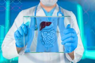 Inflammation, régénération, réparation : comment le foie réagit à l’arrêt de l’alcool image