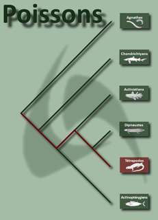 trouver toutes les combinaisons possibles avec des lettres