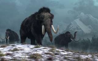 Chasseurs de Science : Jarkov, 23 tonnes, un mammouth en hélicoptère | Podcast