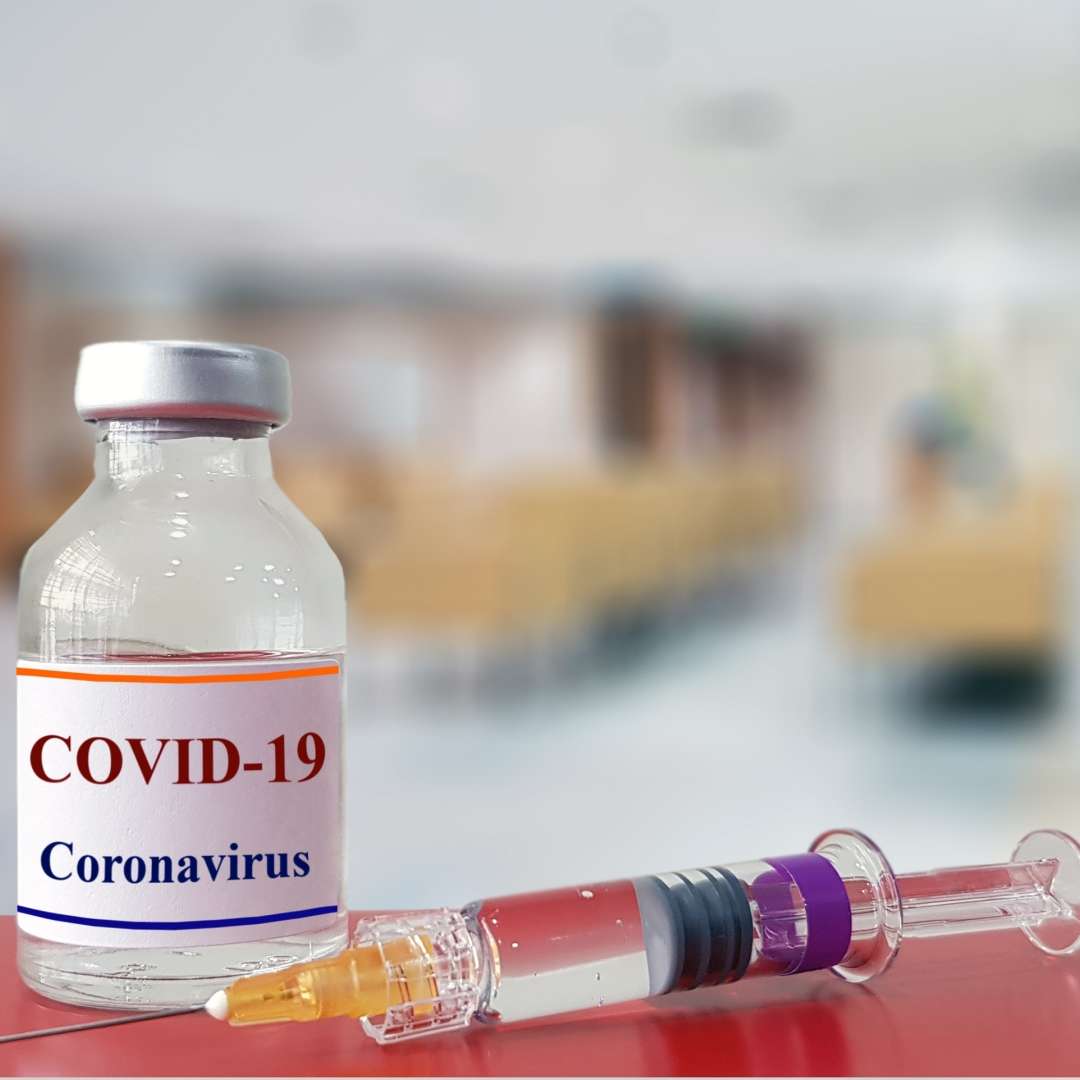 Coronavirus. Pourquoi le lama pourrait être une piste pour un traitement