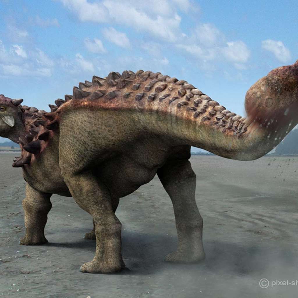 Les grands dinosaures prédateurs avaient le sang chaud, comme les