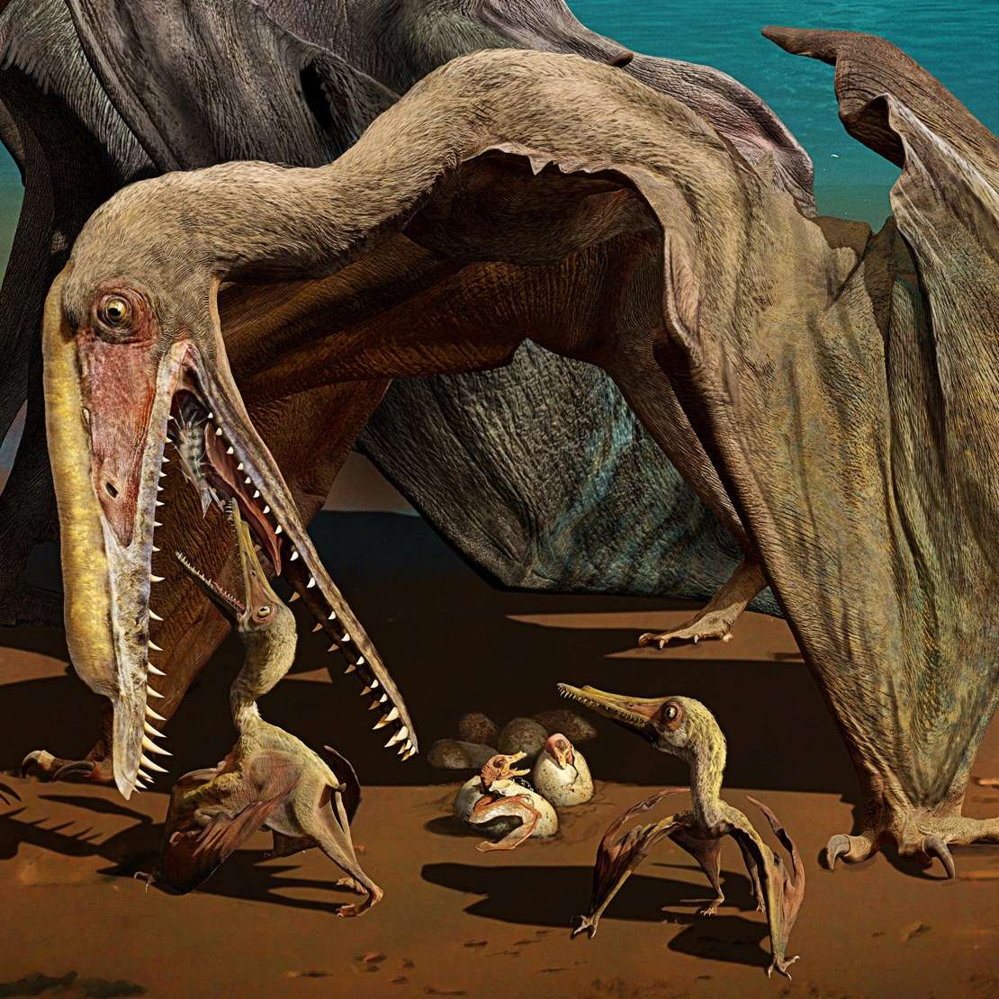 Découverte record de centaines d'œufs de ptérosaures fossilisés