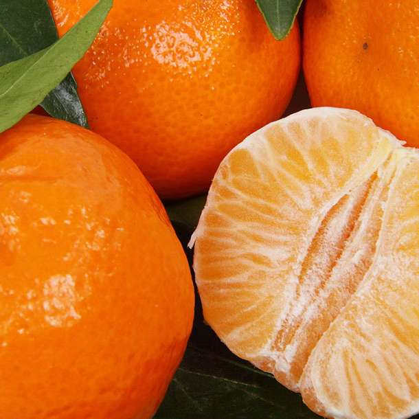 Clémentine ou mandarine, quelles différences ?