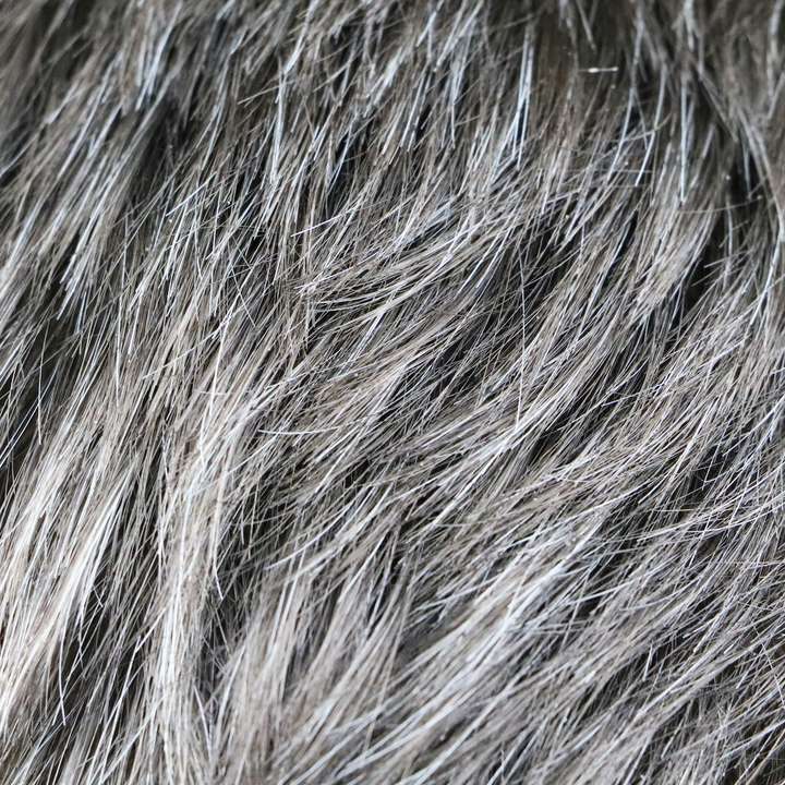 Des scientifiques d montrent que les cheveux blancs peuvent