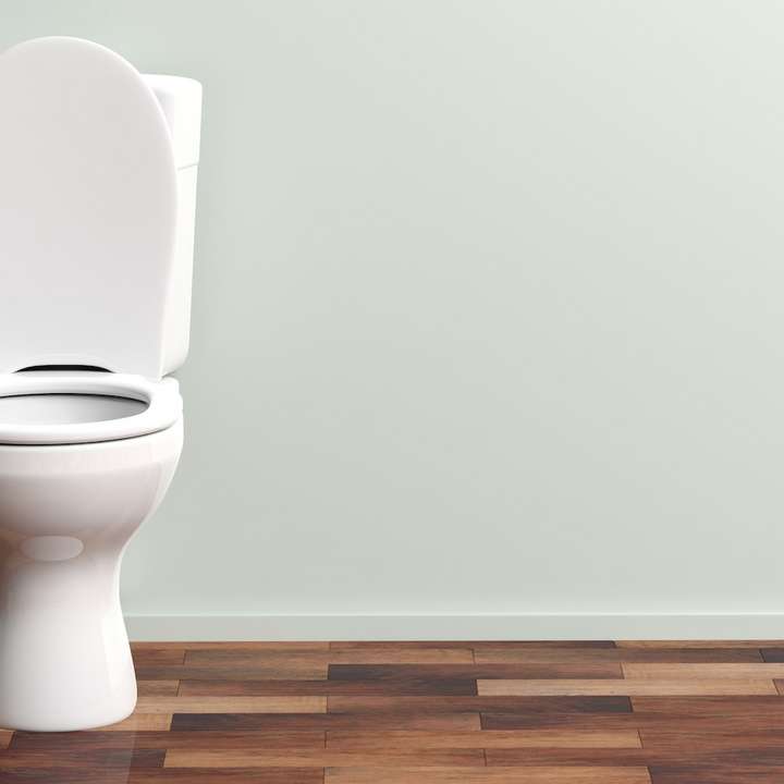 Toilettes et dispositifs urinaires mobiles