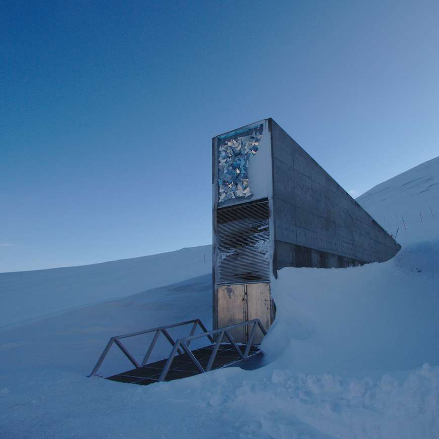 Le mystérieux bunker de graines de Svalbard livre ses secrets dans