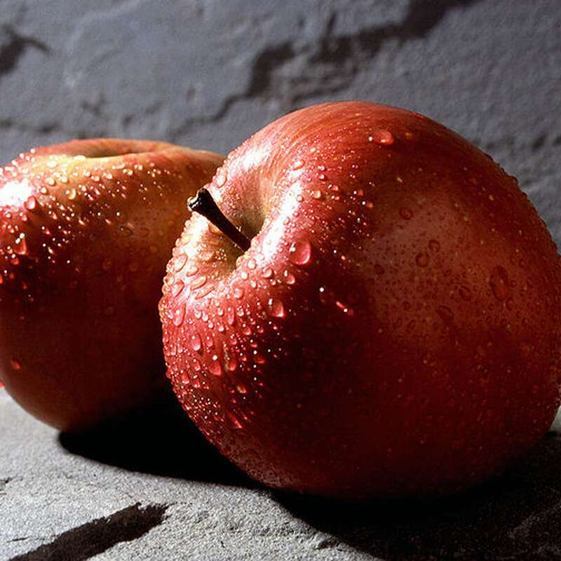 La pomme : présentation, saison, conservation