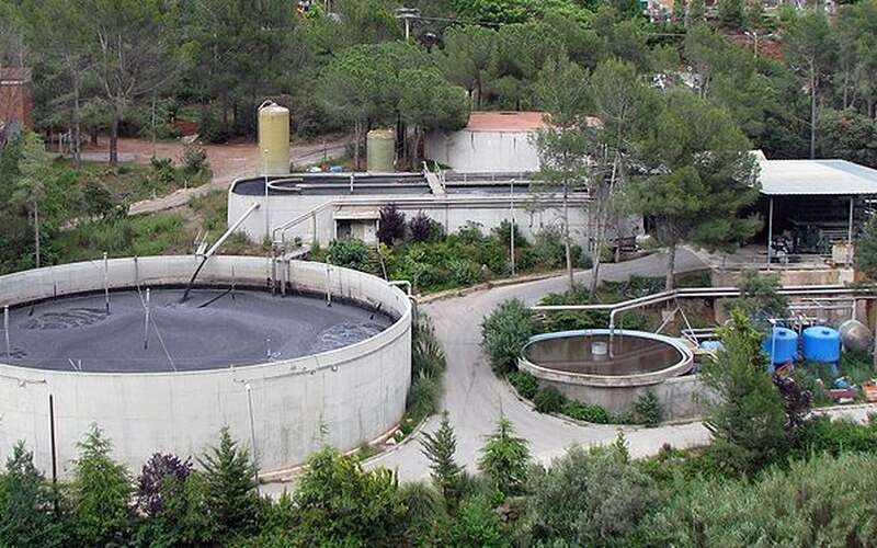 Plante aquatique — Wikipédia