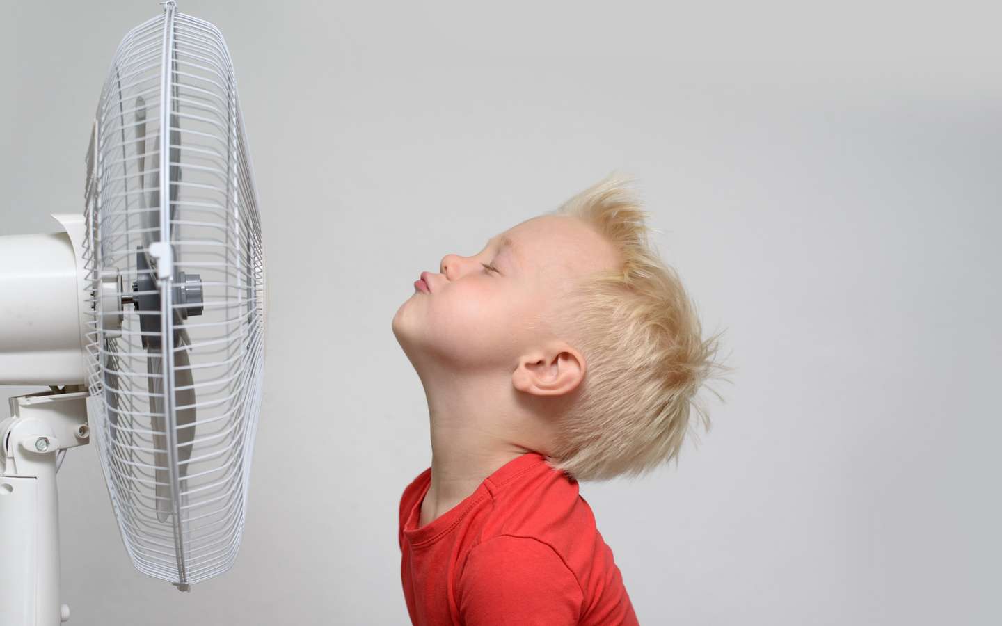 Chaleur : les meilleurs ventilateurs et purificateurs d'airs