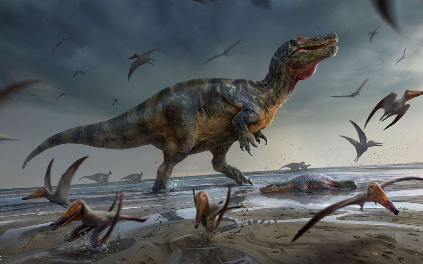 Kamuysaurus japonicus », une nouvelle espèce de dinosaure découverte au  Japon