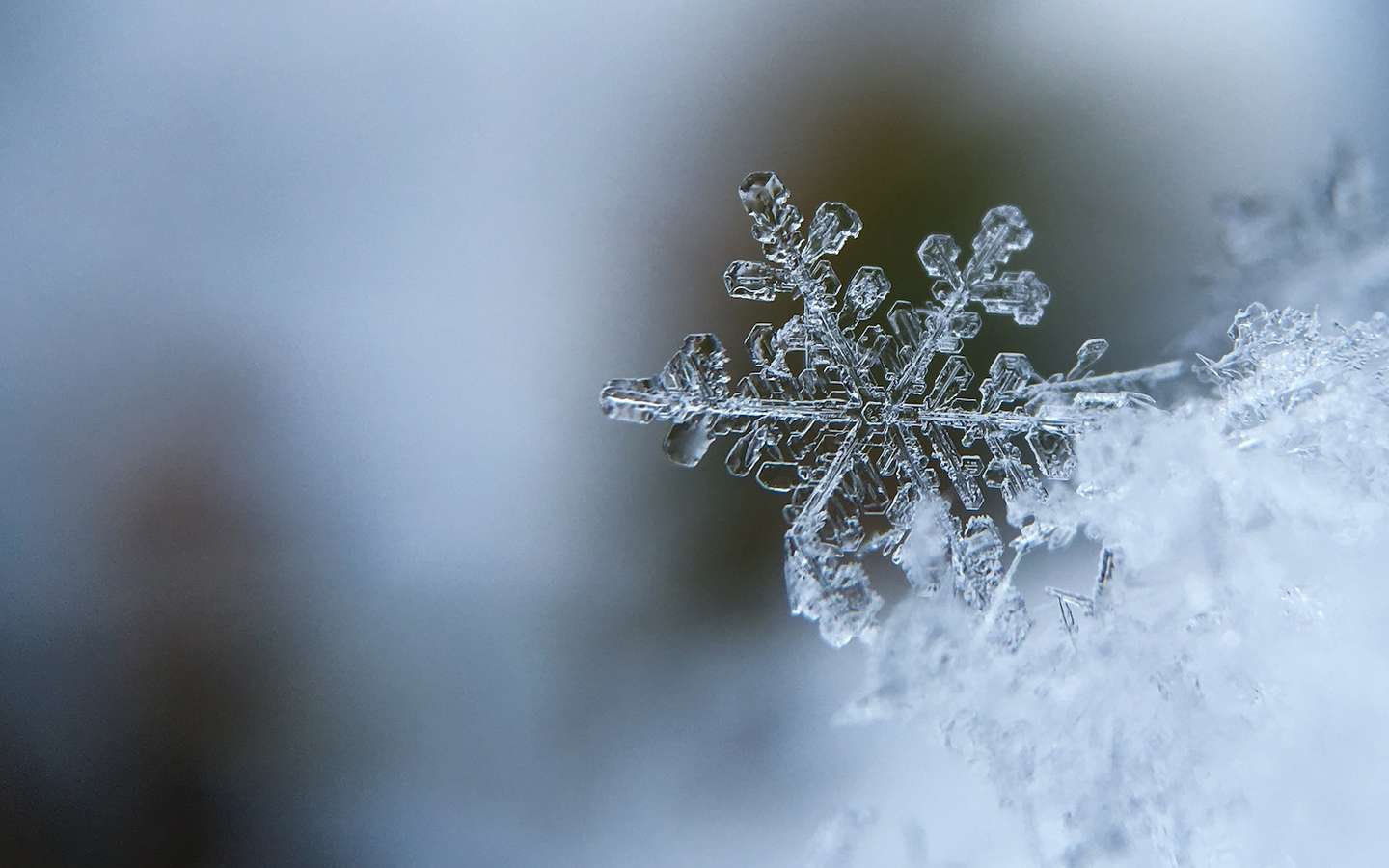 La Magie De L'hiver Un Gros Plan D'un Flocon De Neige étincelant