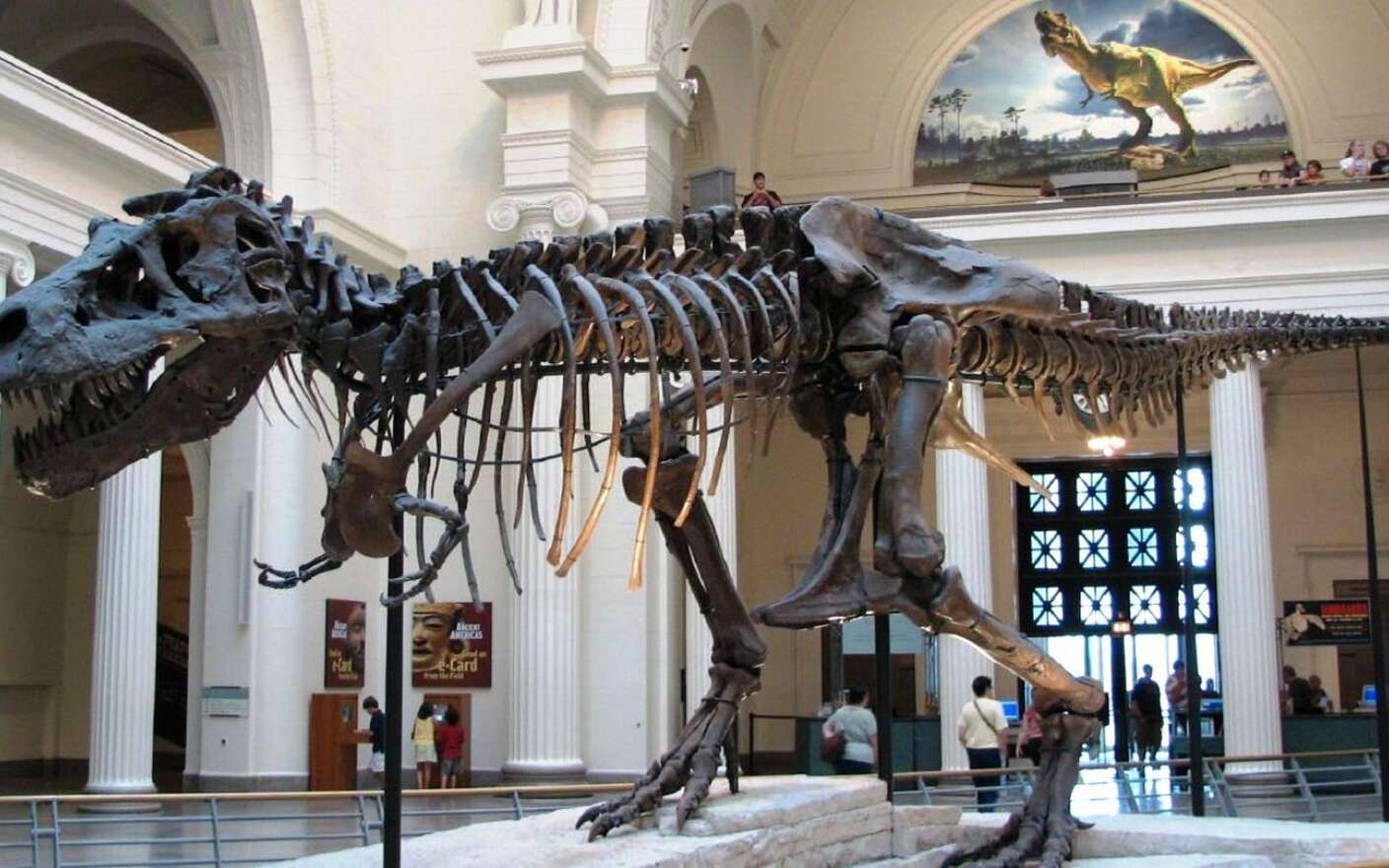 Plan Rapproché D'un Dinosaure Robotique Des Espèces De Tyrannosaurus Dans  Un Parc D'attractions Ouvrant Ses Yeux Et Bouche Et Regardant L'appareil-photo