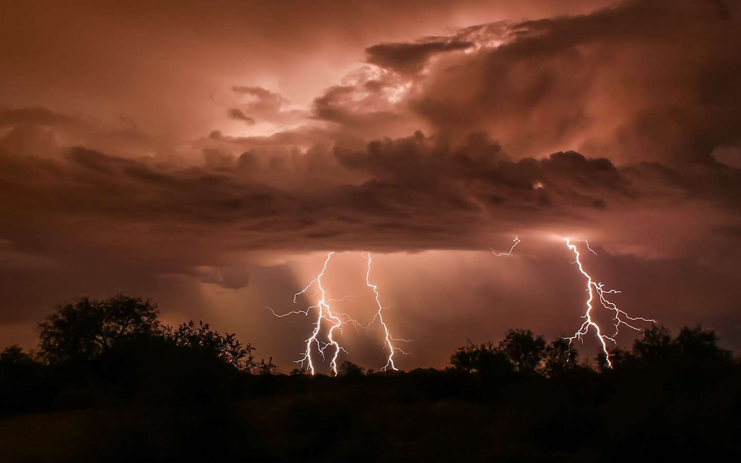 Météo : pourquoi y a-t-il une odeur après la pluie ?