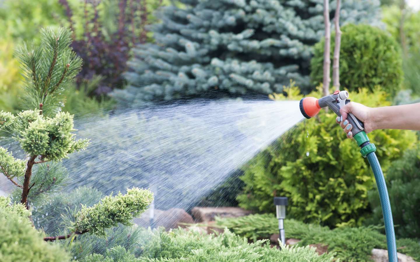 Economiser l'eau du jardin avec un système d'arrosage autonome et  économique : l'oya