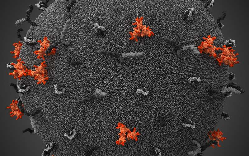 Photos | VIH : les dessous du virus du Sida