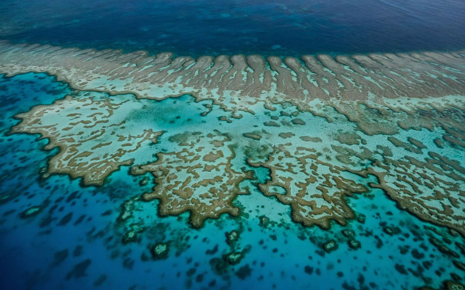 Acidité, chaleur, montée des eaux : des chiffres qui donnent le vertige