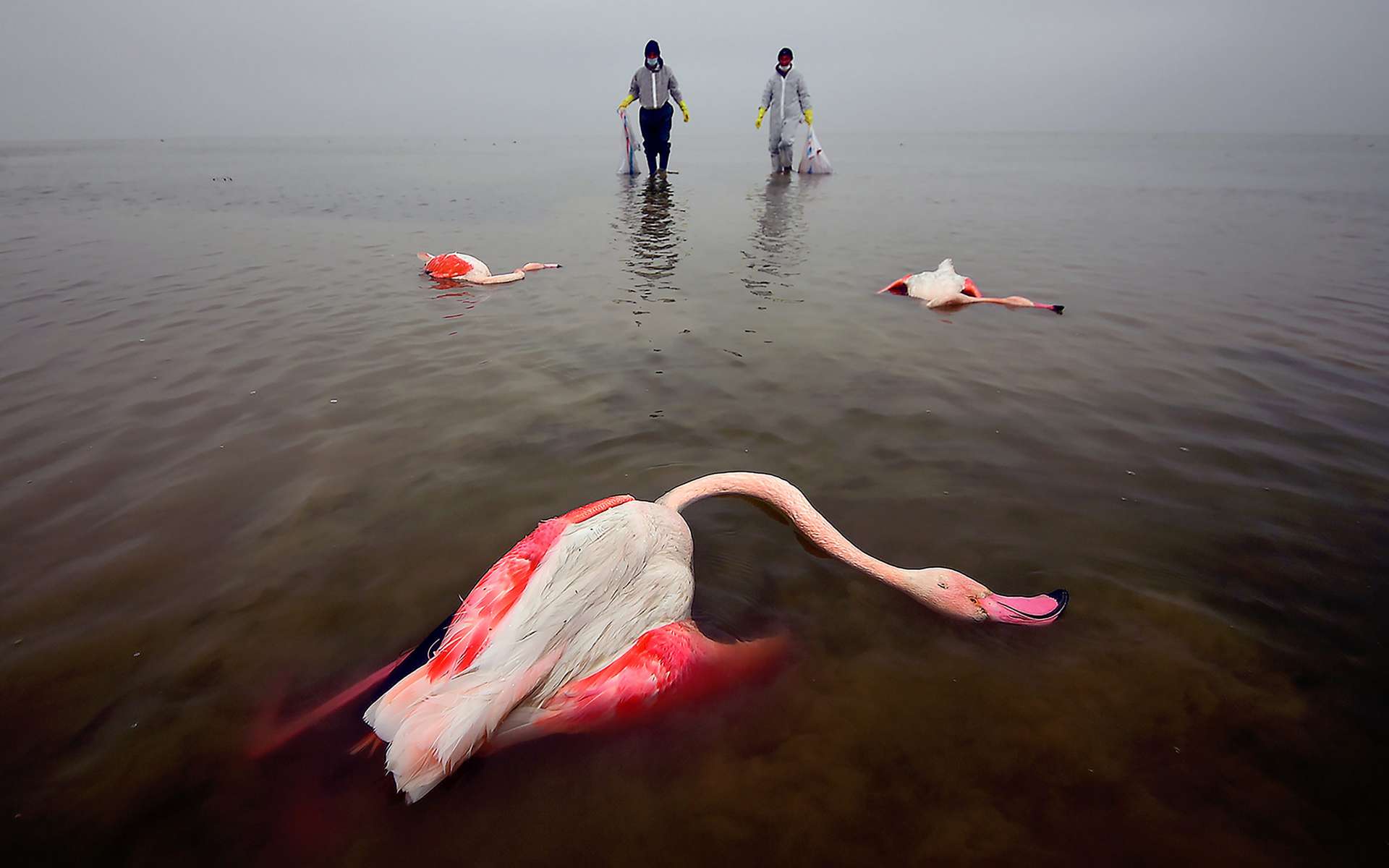 Voici les photos environnementales les plus marquantes de l'année