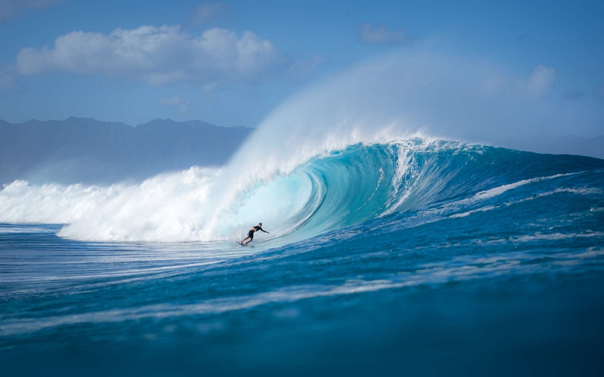 Une ONG rassemblant des surfeurs se mobilise pour protéger des zones côtières où la biodiversité est étroitement liée aux vagues de haute qualité. © derek, Adobe Stock