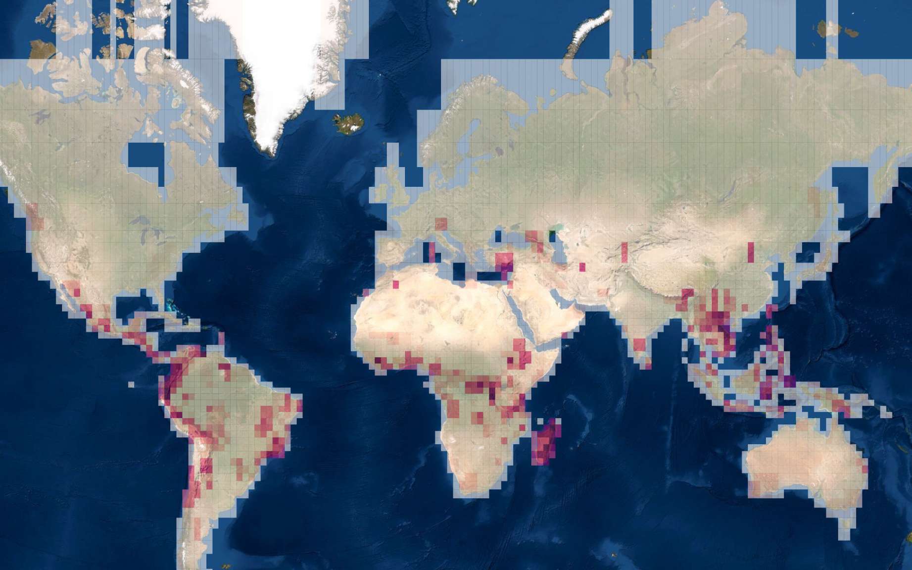 Où reste-t-il des espèces à découvrir ? © capture écran Map of Live
