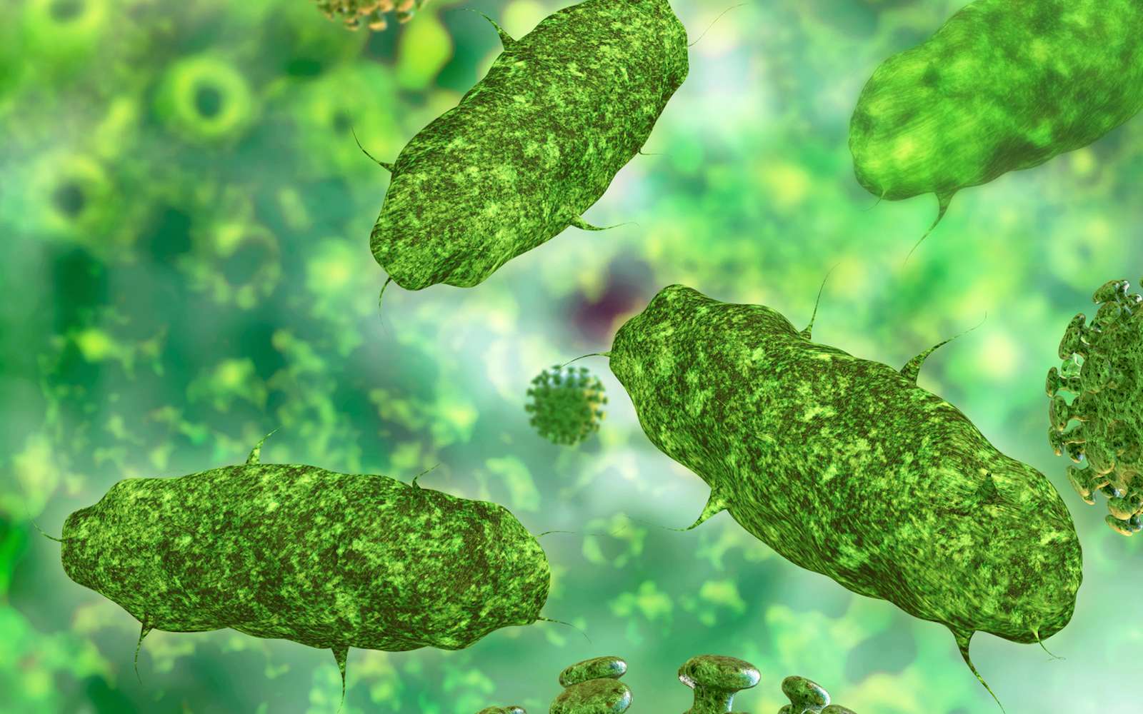 Les bactéries fécales, fléau pour l’antibiorésistance. © fotoliaxrender, Fotolia