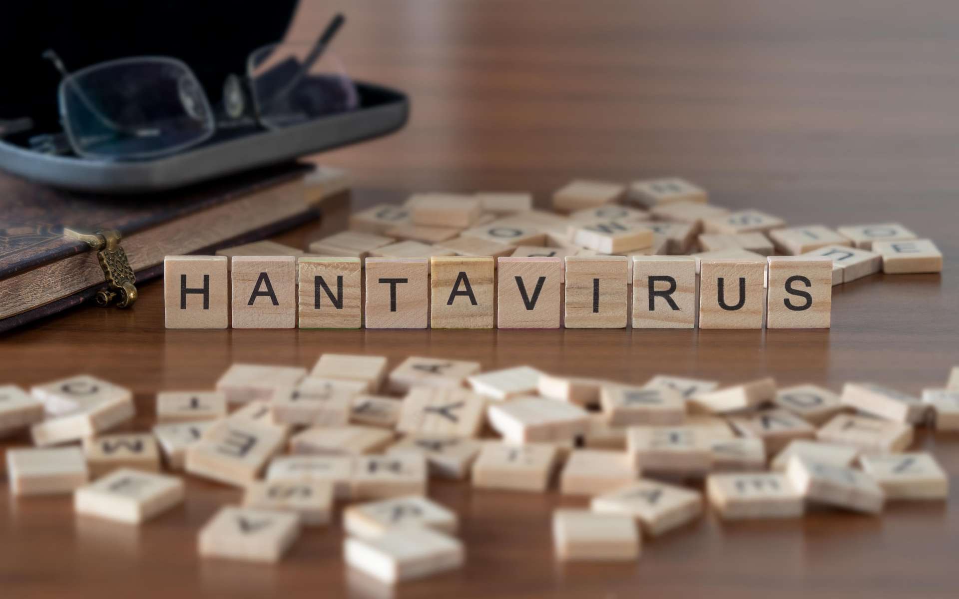 Hantavirus : aucune épidémie à craindre !
