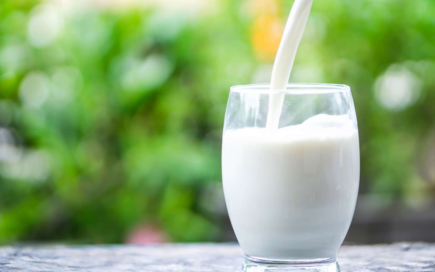 Diabete Le Lait De Chamelle Reduit L Inflammation Diabete Le Lait De Chamelle Reduit L Inflammation