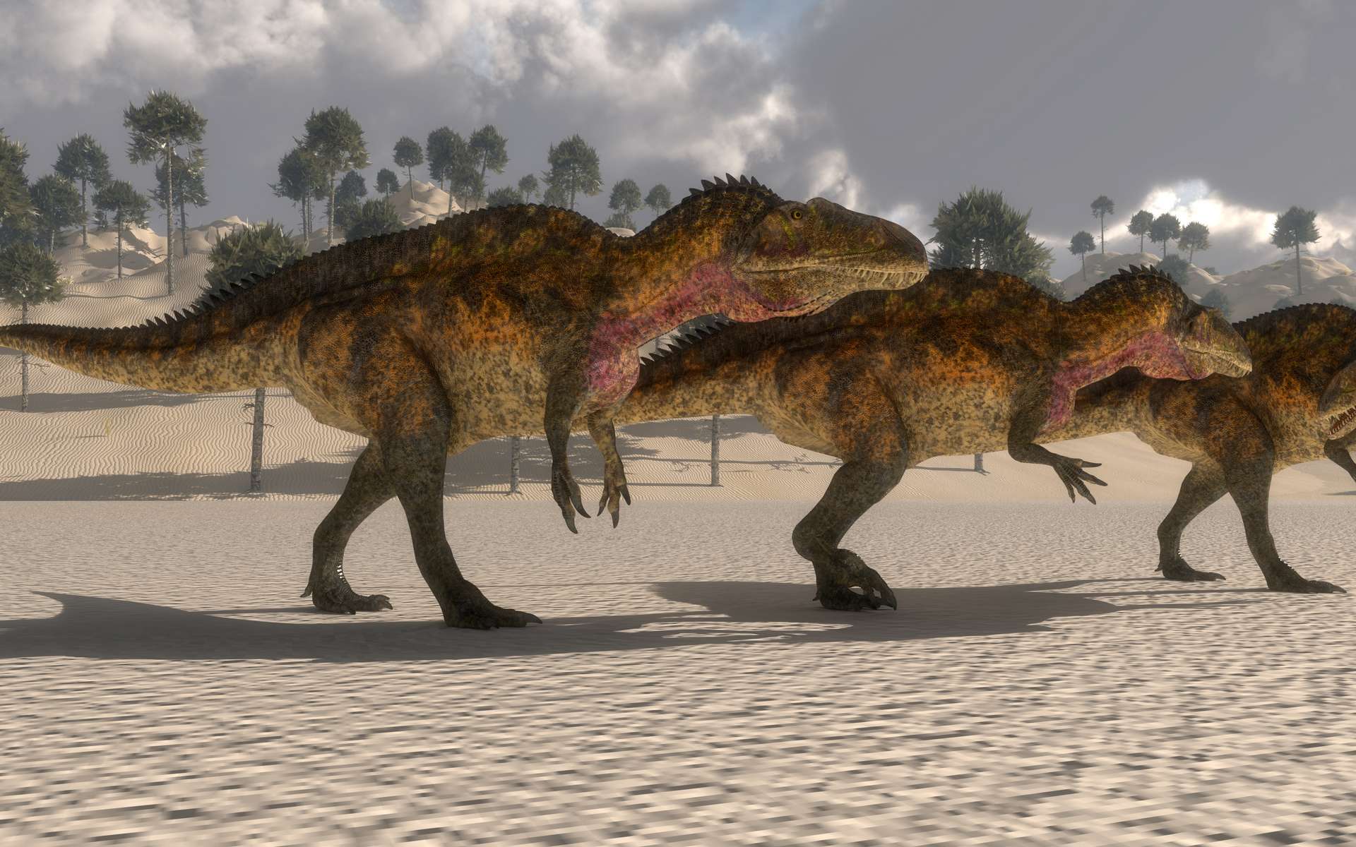 Certaines espèces de carcharodontosaures (ici selon une vue d'artiste) rivalisaient en taille avec des tyrannosauridés et des spinosauridés. © Catmando, Adobe Stock