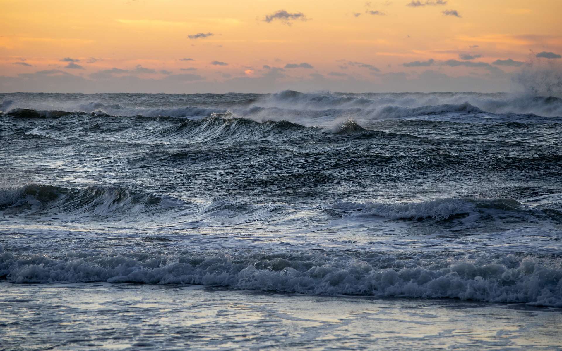 Le niveau de l'eau des côtes de Louisiane, dans le golfe du Mexique, s'est élevé de 30 cm en 100 ans. © pixabay, Woeger