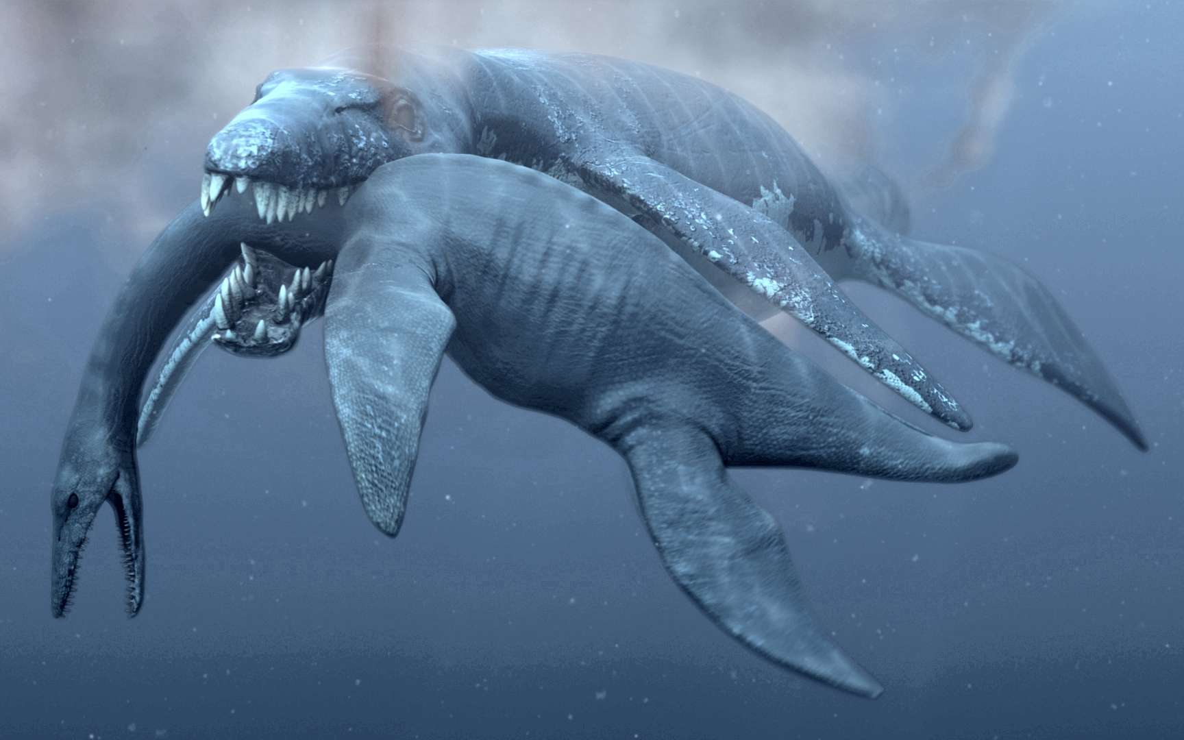 Fin du mystère pour la taille du Liopleurodon, redoutable dinosaure des  mers du jurassique ?