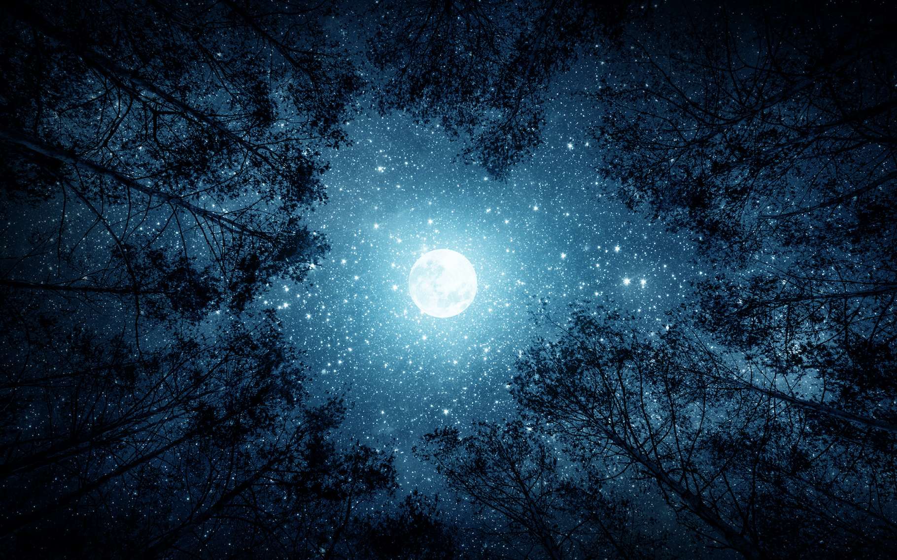 De tout temps, les hommes ont donné des noms à la Lune. À la Pleine lune notamment. Des noms que l’on retrouve aujourd’hui encore. Mais ces noms-là n’ont aucune racine scientifique. © Tryfonov, Adobe Stock