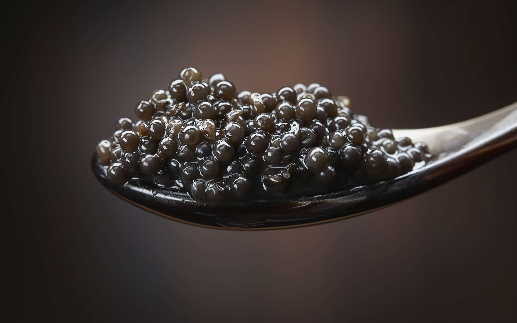 Что означает caviar в жестком диске