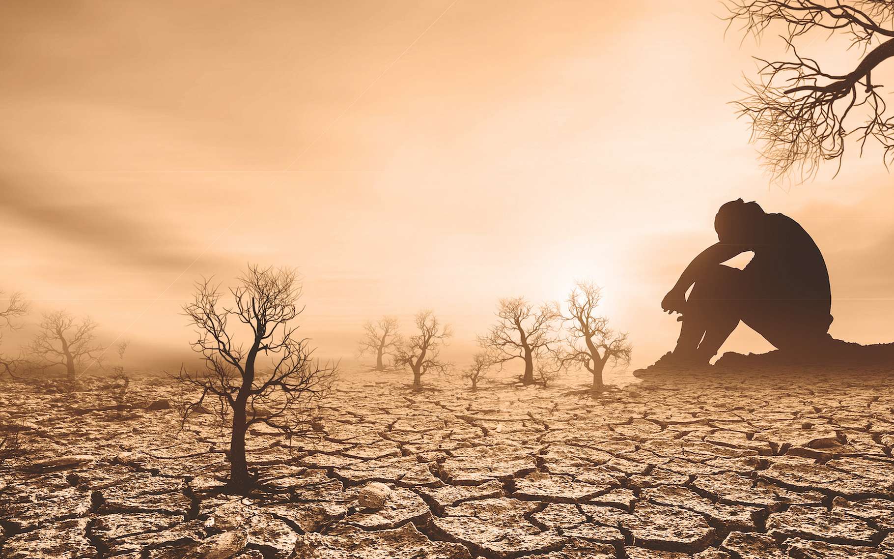 Quand le cycle de l'eau déraille : près de la moitié du monde a subi une sécheresse en 2022 !