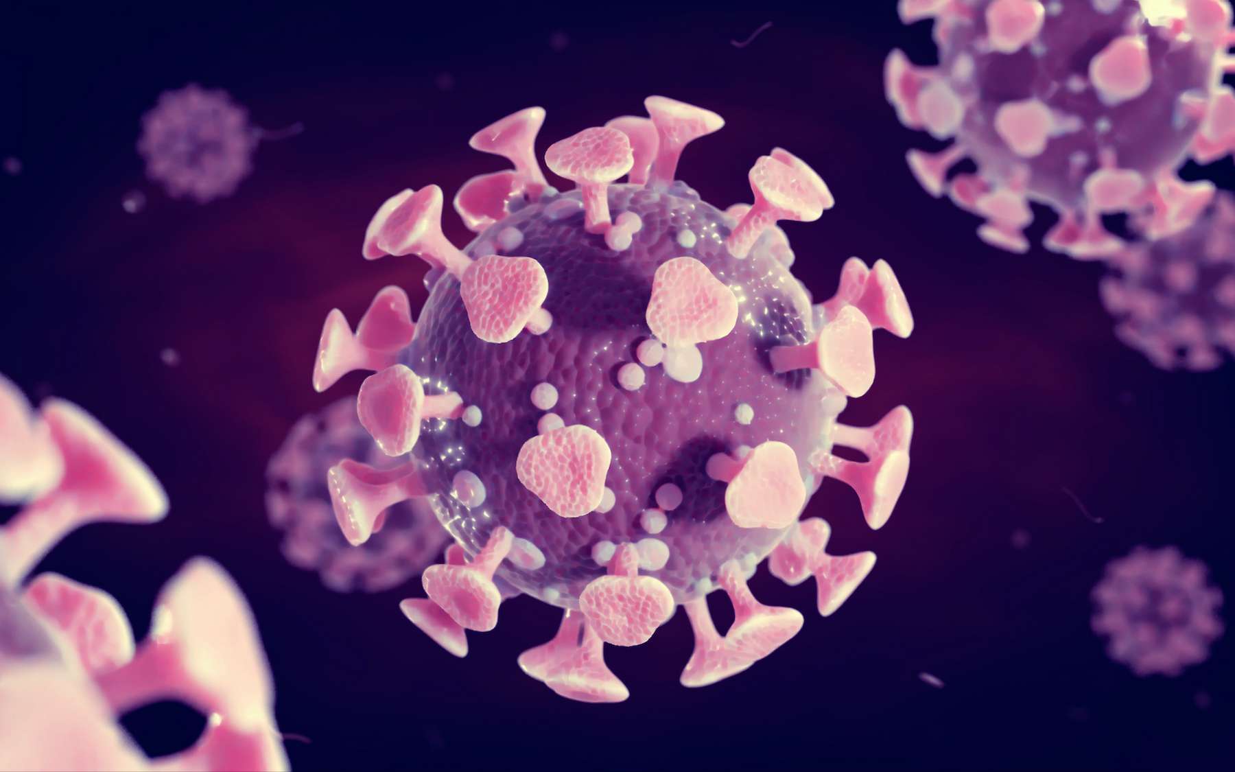 Une personne infectée a plusieurs milliards de particules virales dans l'organisme. © dottedyeti, Adobe Stock