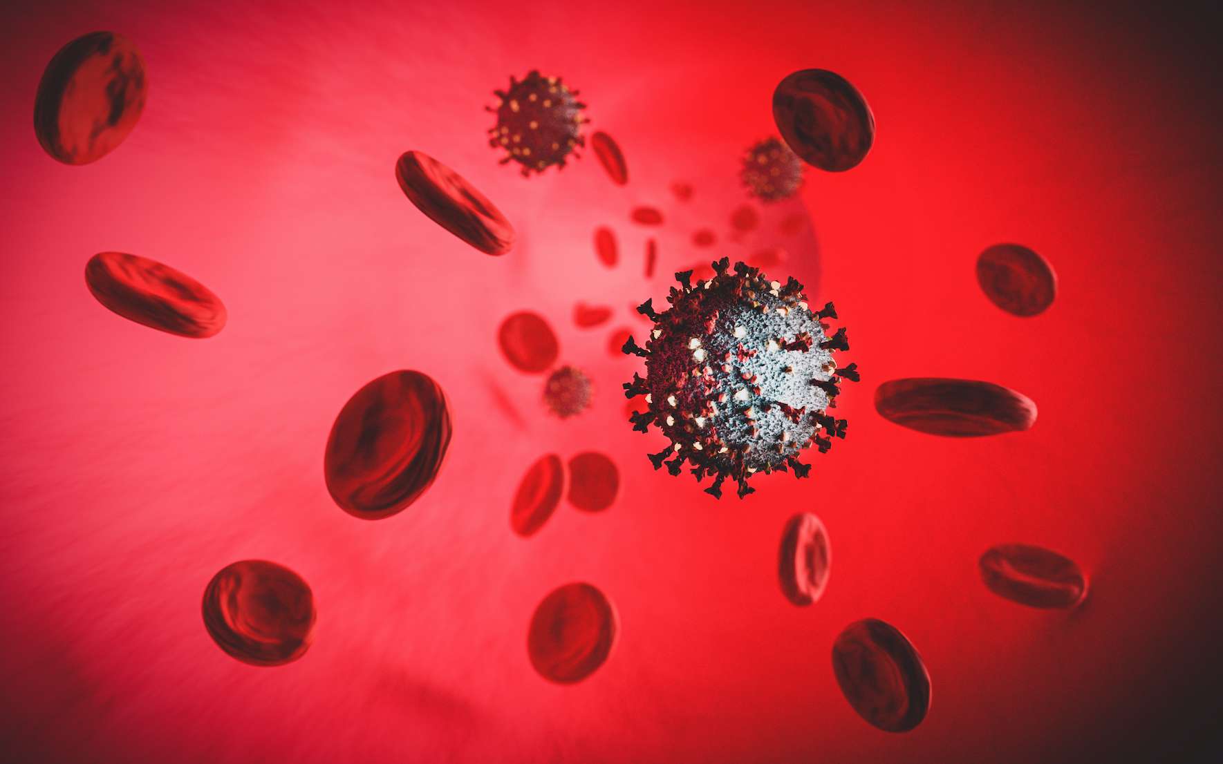 Les personnes de groupe sanguin A seraient plus sensibles au coronavirus
