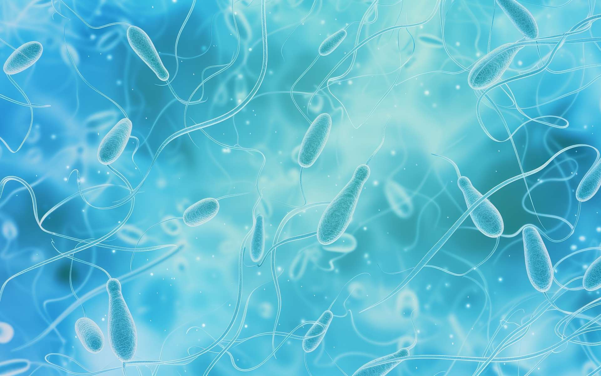 Des microplastiques aux effets divers découverts dans le sperme humain